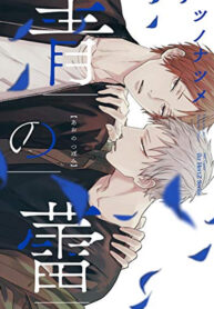 ao no