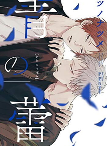 ao no